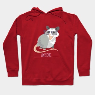 Awesome Possum Hoodie